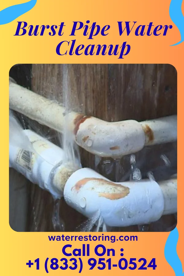 Burst Pipe Water Cleanup in Marist College, NY