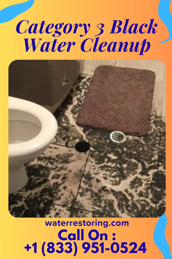Category 3 Black Water Cleanup in Marist College, NY