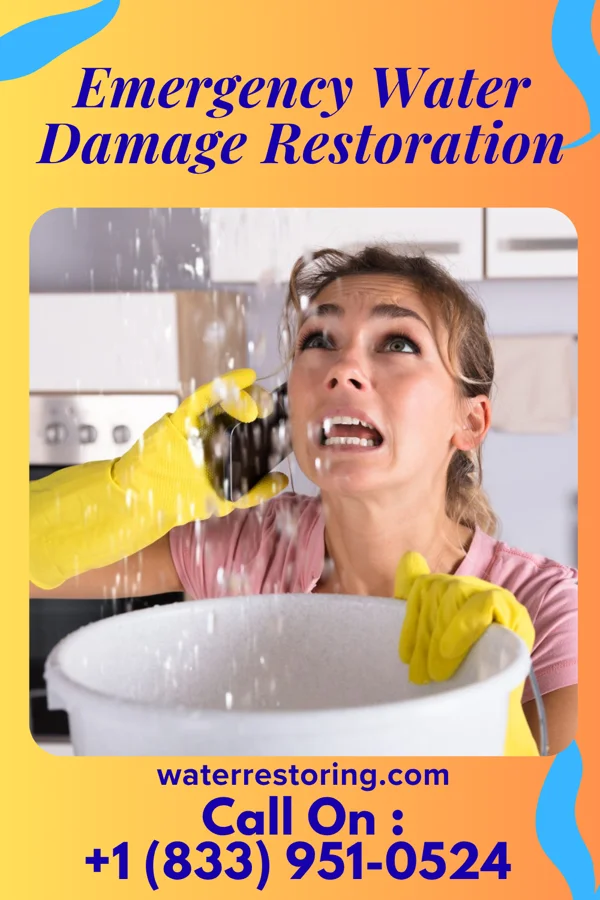 Emergency Water Damage Restoration in Marist College, NY