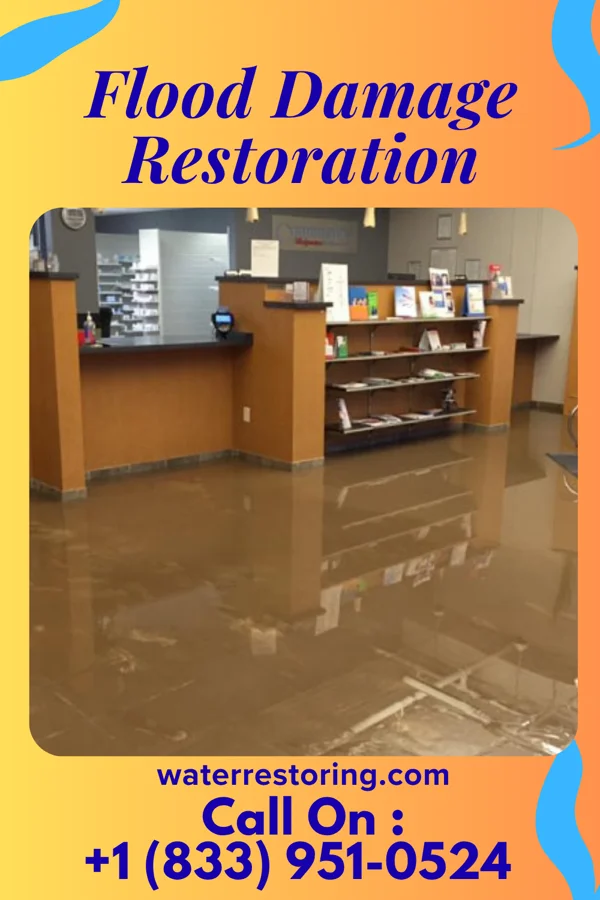 Flood Damage Restoration in Marist College, NY