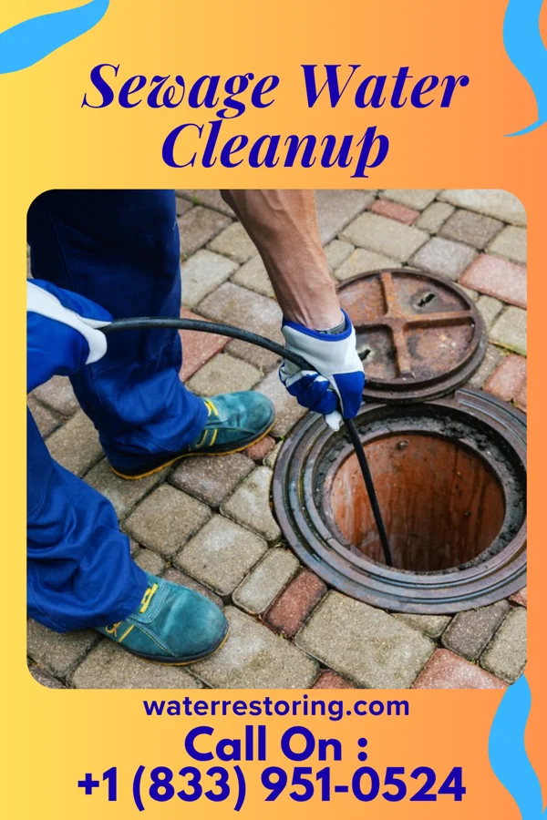 Sewage Water Cleanup in Marist College, NY