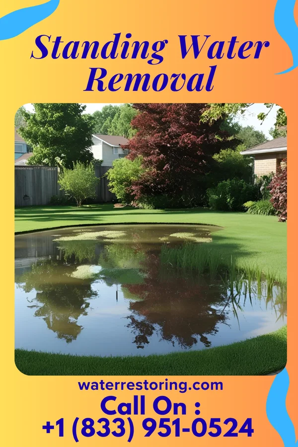Standing Water Removal in Marist College, NY